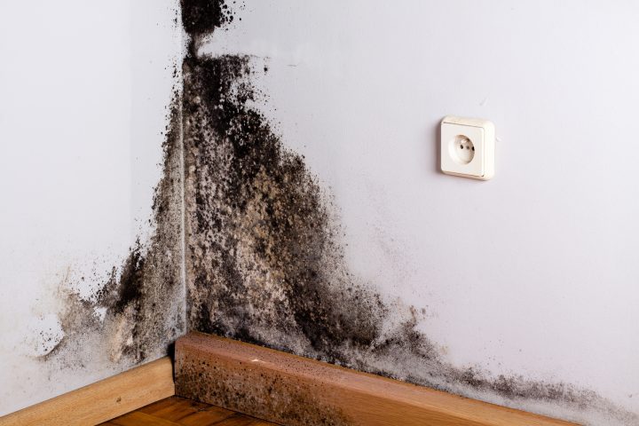 Remediation and Post-Remediation Verification