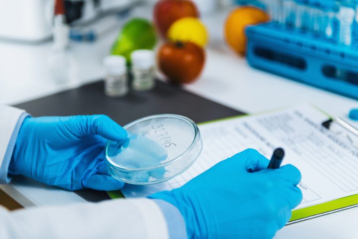 Mold/Microbiological Testing